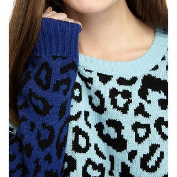 Blush & Bloom | NWT Leopard Color Block Sweater - Picture 3 of 10